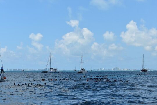 Isla Mujeres Catamaran Day Trip with Snorkel Open Bar and Buffet