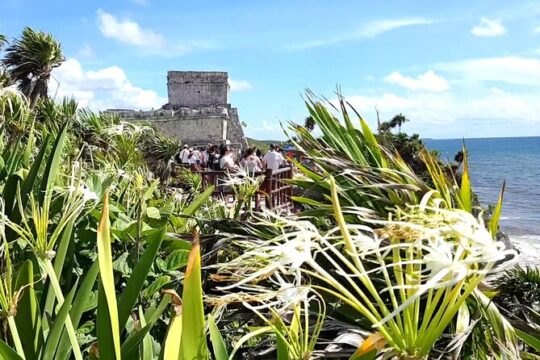 Tulum Express from Cancun