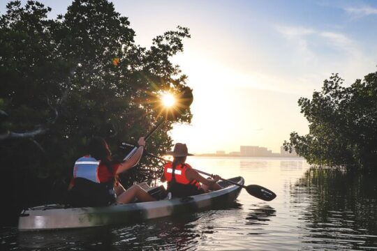 Nichupte Lagoon! Mangrove Kayaking Experience from Cancun