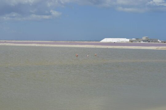 Coloradas Bioexperiences