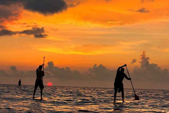 Sunrise Stand Up Paddle activity on a privileged beach.