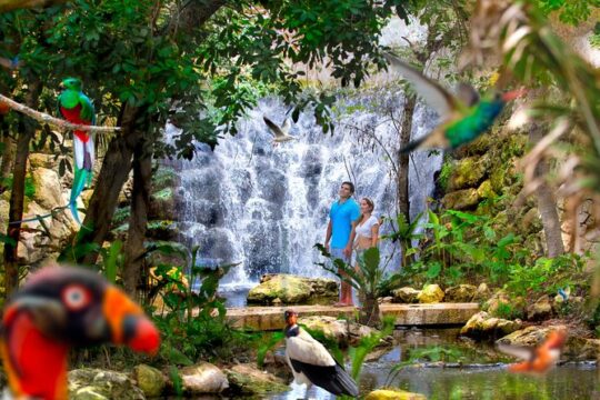 Private Tour Tulum and Night Show in the Park Xcaret