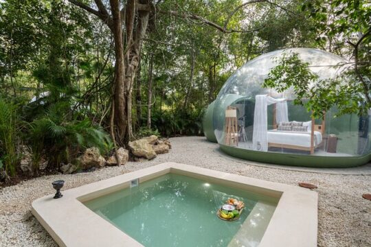 Overnight Experience in Private Bubble Suite