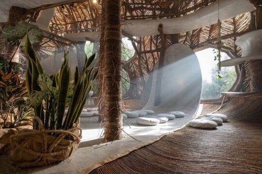 Private Tour Tulum Plus Museum Azulik & Sculpture Park