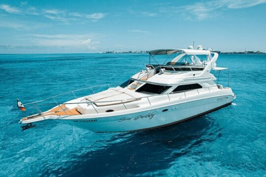 Sea Daddy Private Yacht - 50 ft