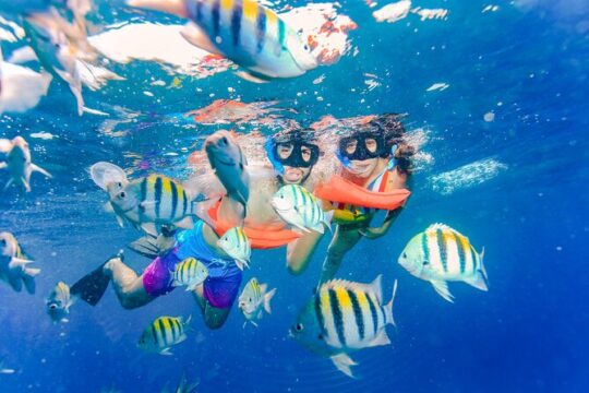 Caribbean Snorkeling Adventure Explore Puerto Morelos Reef